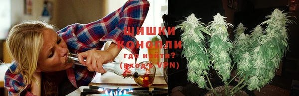 стаф Белоозёрский